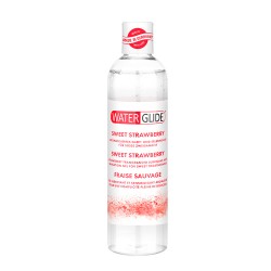 Lubricante FRESA waterglide 300 ml