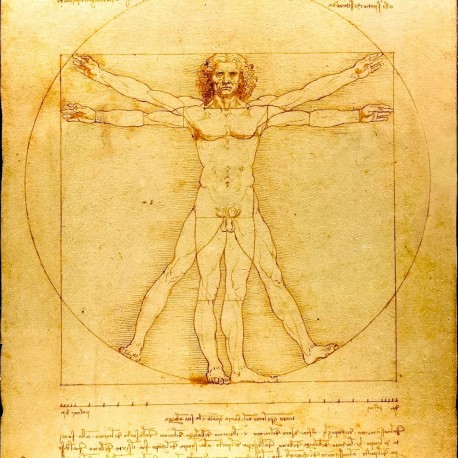 Leonardo Da Vinci Descubrió el Origen de la Erección Masculina
