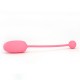 Kegel Coach Smart