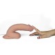 Vibrador Gordo Ultra Soft Dude 8.8''