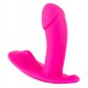 Sweet Smile RC Panty Vibrator