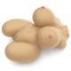 Torso StreetGrils 6