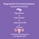 Bajada de Estrógenos en la Menopausia