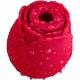 Flower Orgasmic Armony