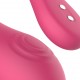 Aria Egg APP