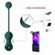 Kegel Crystal Duo