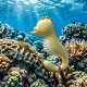 Seaboo Lengua y Vibrador