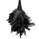 Frisky Feather Duster