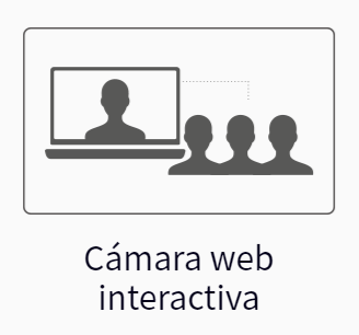 conexion Phoenix Neo Svakom con camara interactiva de webcam páginas de internet